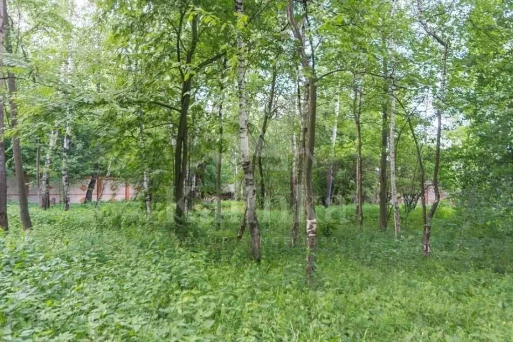 Участок в Московская область, Одинцовский городской округ, д. Лызлово ... - Фото 1