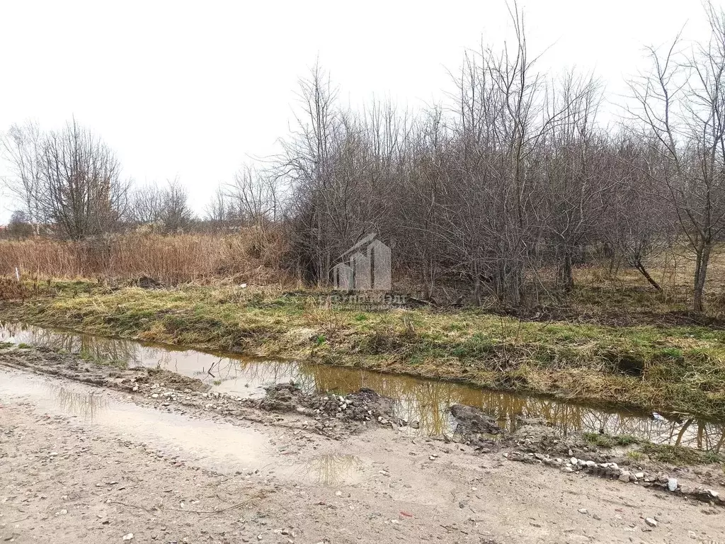 Участок в Калининградская область, Калининград Чайка СНТ, проезд ... - Фото 1