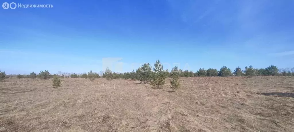 Участок в село Фирсово, микрорайон Рощино, улица Суворова (8.21 м) - Фото 1