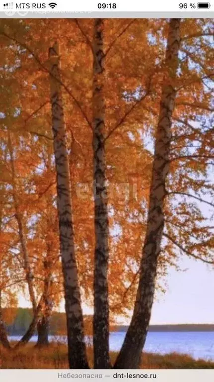 Участок в Совхозный сельсовет, ДНТ Лесное (10 м) - Фото 0