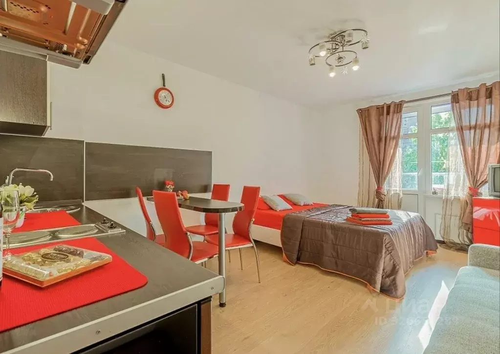 Студия Санкт-Петербург просп. Энергетиков, 9к3 (28.0 м) - Фото 0