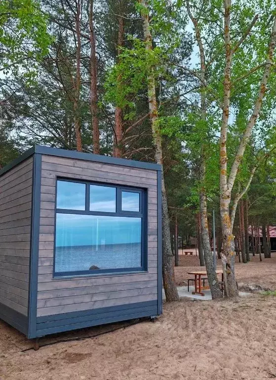 Дом в Ленинградская область, Сосновый Бор  (13 м) - Фото 1