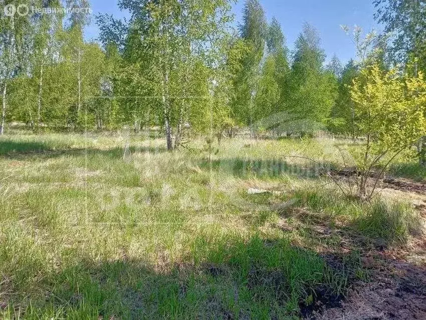 Участок в село Новая Усмань, Виноградная улица, 97 (13.5 м) - Фото 0