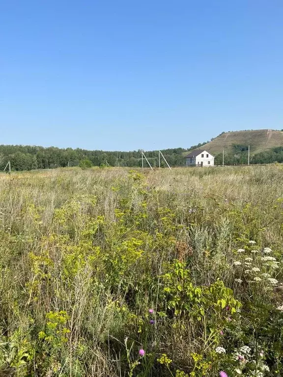 Земля В Октябрьском Купить