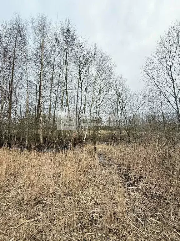 Продается участок в д. Следово - Фото 0