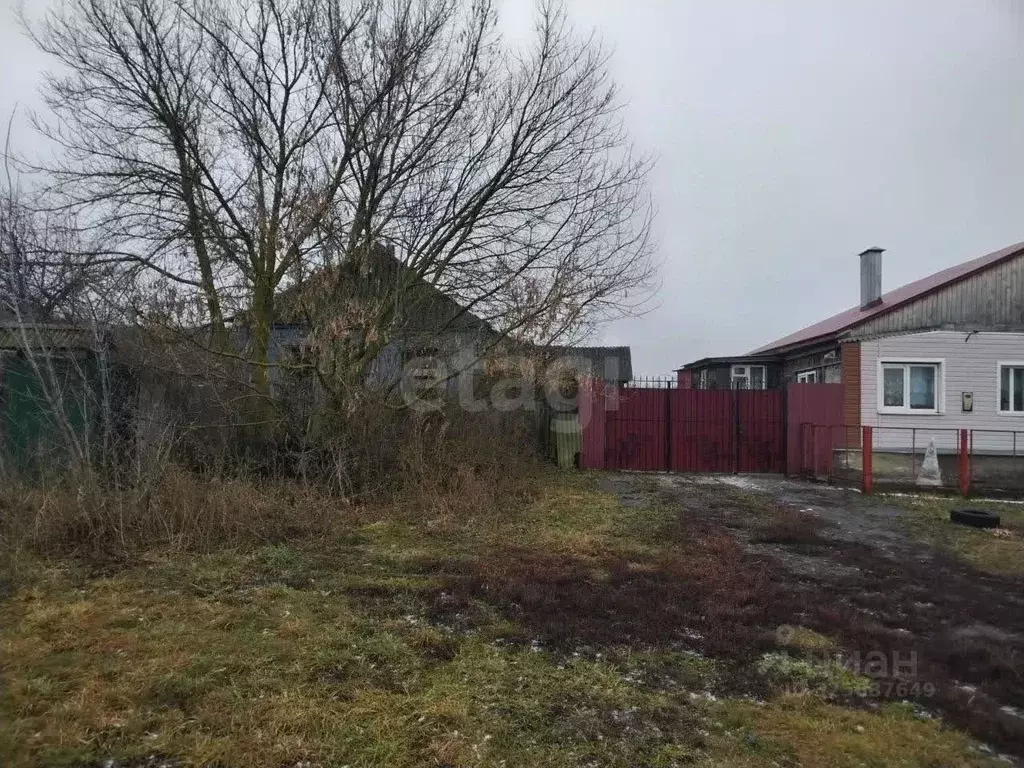 Дом в Курская область, Курский район, Полевской сельсовет, с. Колодное ... - Фото 1