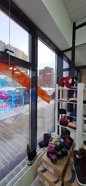 Торговая площадь в Пермский край, д. Кондратово ул. Культуры, 1Г (230 ... - Фото 2