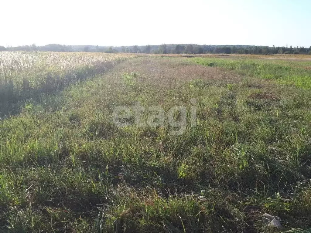 Участок в село Отрадное, коттеджный посёлок Ново-Отрадное (11 м) - Фото 1