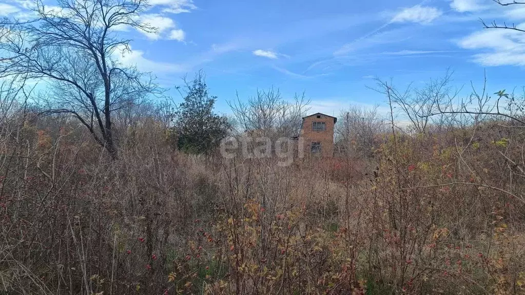 Участок в Краснодарский край, Ейск Виктория СТ, ул. 2-я (5.0 сот.) - Фото 1