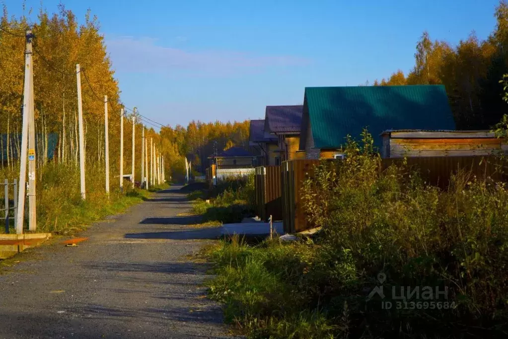 Участок в Московская область, Пушкинский городской округ, Ашукино дп  ... - Фото 0