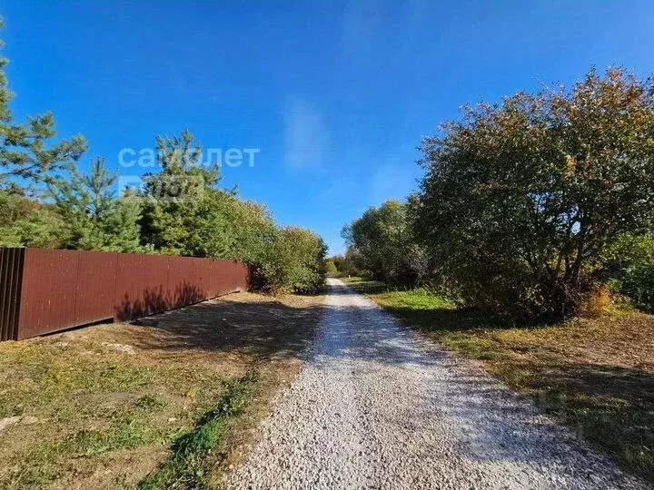 Дом в Московская область, Серебряные Пруды муниципальный округ, д. ... - Фото 2