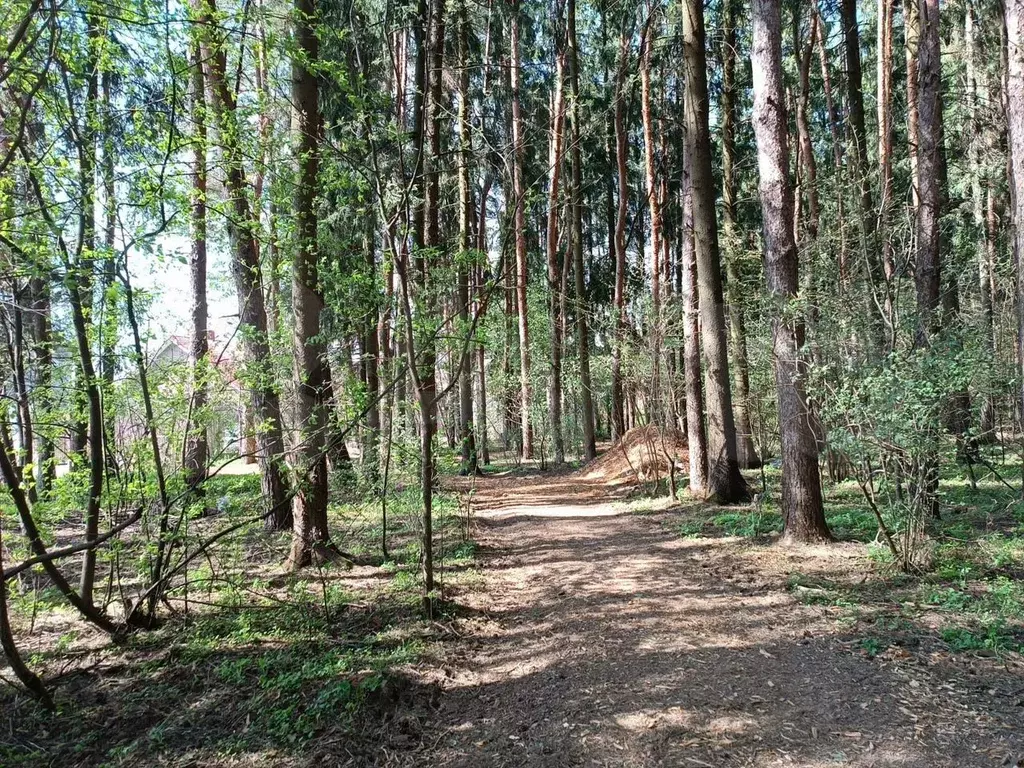Дом 100 м на участке 5 сот. - Фото 1