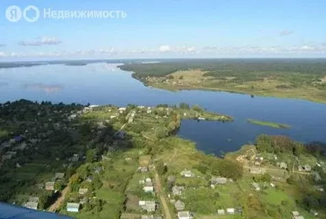 Участок в посёлок Селище, Новая улица, 53 (20 м) - Фото 1