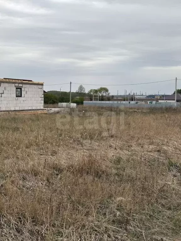 Участок в Тульская область, Тула городской округ, д. Частинские ... - Фото 2