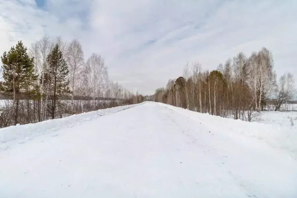 Участок в Тюменская область, Тюмень  (2481.16 сот.) - Фото 1