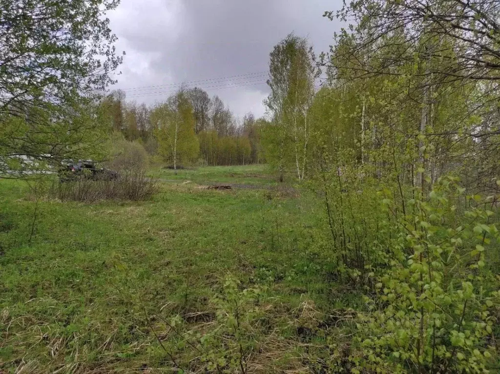 Участок в Московская область, Сергиево-Посадский городской округ, ... - Фото 1