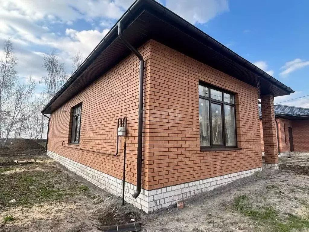Дом в Воронежская область, с. Новая Усмань ул. Виноградная (90 м) - Фото 1