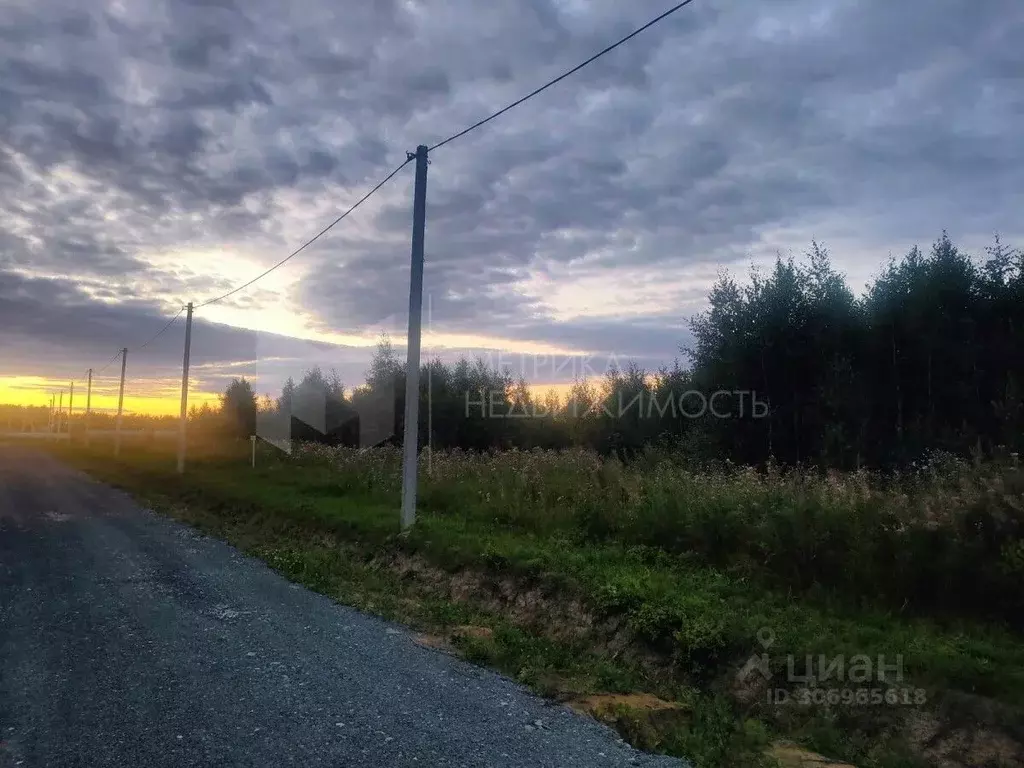 Участок в Тюменская область, Тюменский район, с. Кулига ул. Баритовая ... - Фото 1