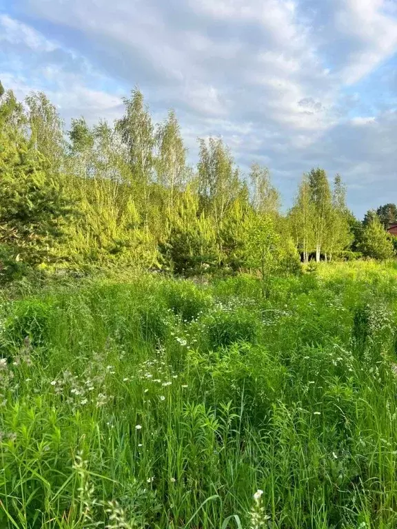 Участок в Московская область, Ступино городской округ, д. Протасово  ... - Фото 0