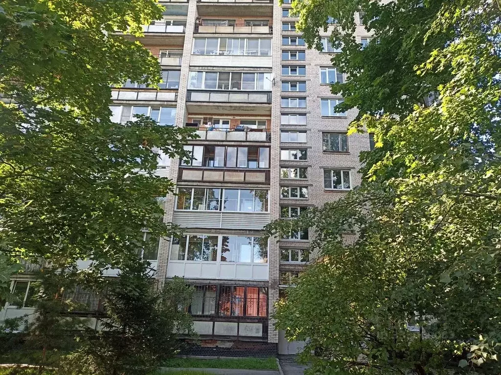 Комната Санкт-Петербург просп. Пархоменко, 22 (15.0 м) - Фото 1