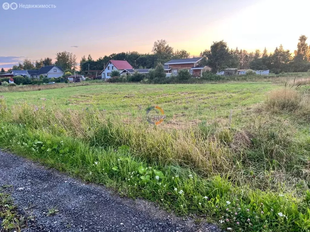 Участок в Новгородский муниципальный округ, Трубичинское сельское ... - Фото 2