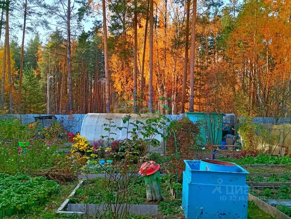 Дом в Владимирская область, Ковров № 8 ЗиД СНТ, 314 (40 м) - Фото 1