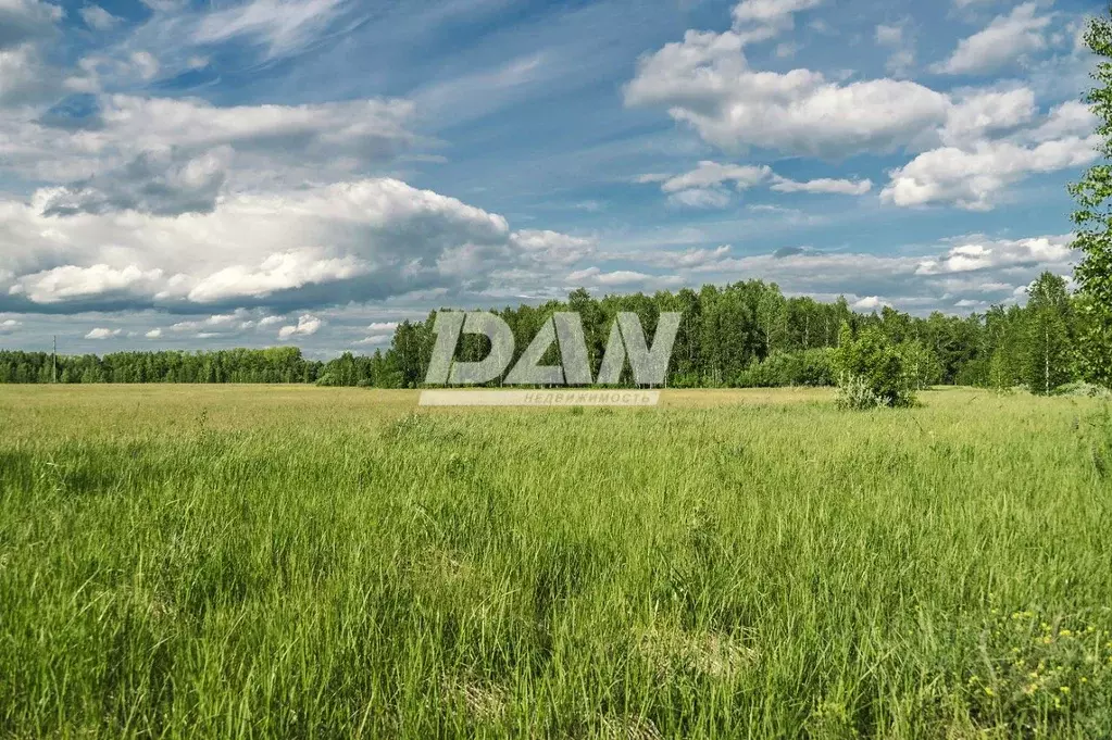 Участок в Челябинская область, Красноармейский муниципальный округ, с. ... - Фото 1