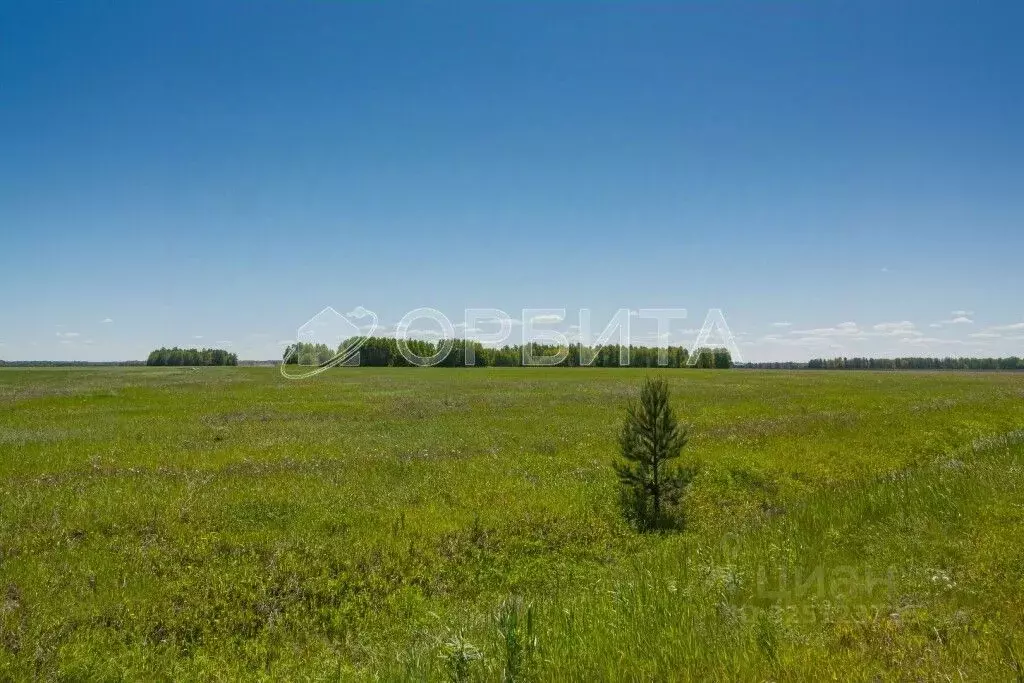 Участок в Тюменская область, Тюменский муниципальный округ, с. ... - Фото 2