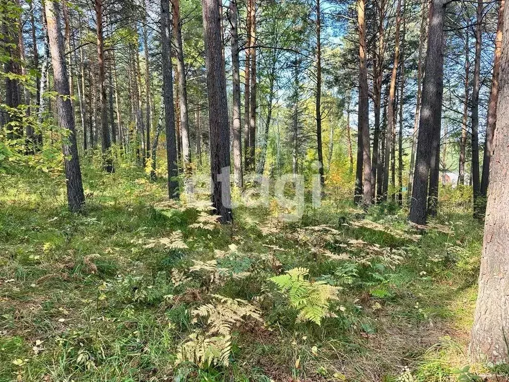 Участок в Красноярский край, Емельяновский район, Мининский сельсовет, ... - Фото 0