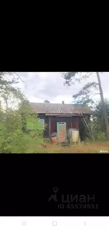 Дом в Вологодская область, Кадуй рп ул. Павлова (64 м) - Фото 0