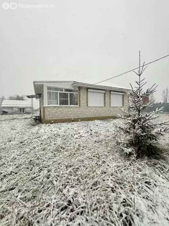 Дом в Нижегородская область, Богородский муниципальный округ, село ... - Фото 1