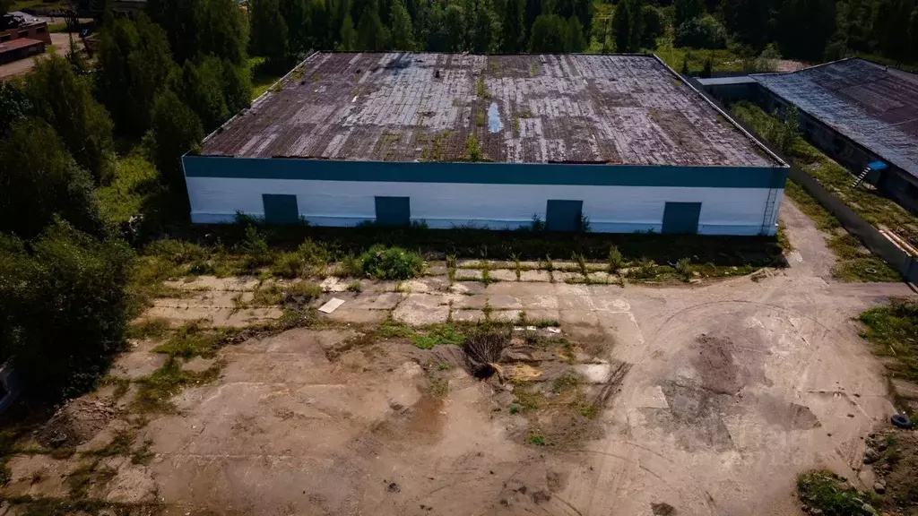 Помещение свободного назначения в Томская область, Шегарское с/пос, с. ... - Фото 1