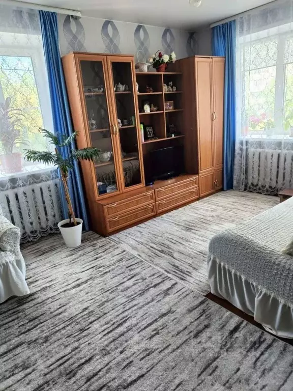 1-к кв. Омская область, Омск пос. Кордный, ул. 1-я Шинная, 59 (31.0 м) - Фото 2