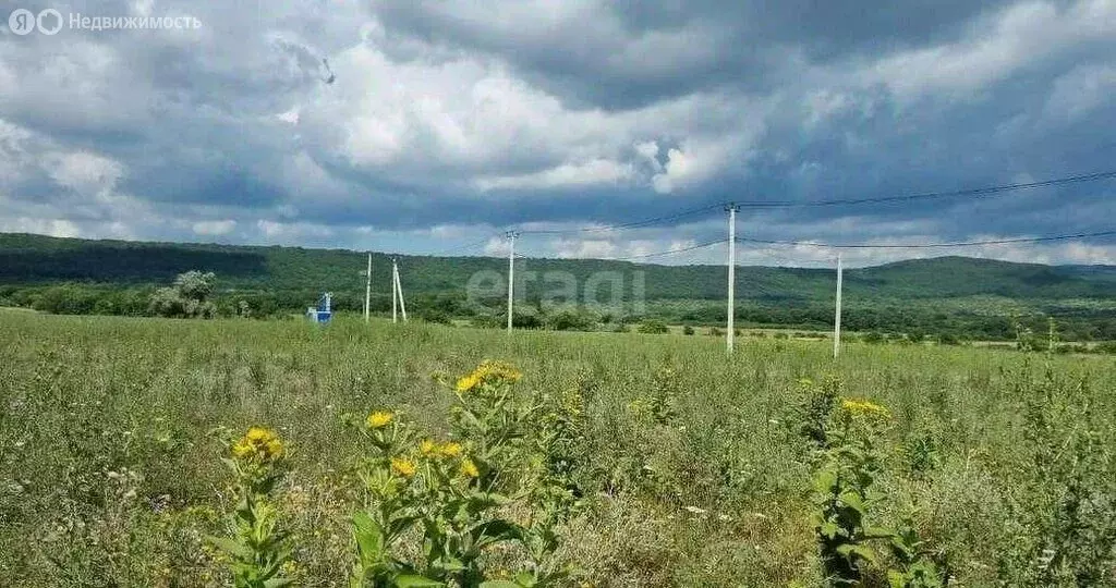 Участок в Краснодарский край, городской округ Новороссийск, хутор ... - Фото 1