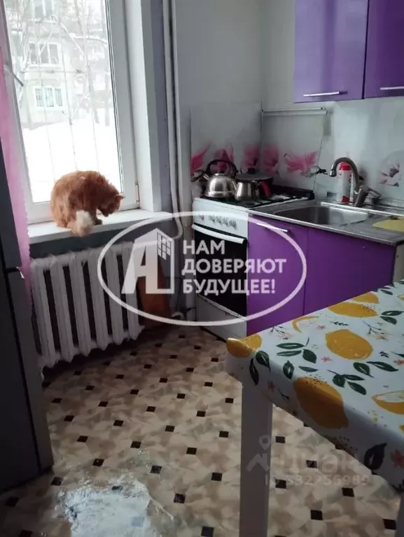 3-к кв. Пермский край, Березники ул. Мира, 87 (59.7 м) - Фото 2
