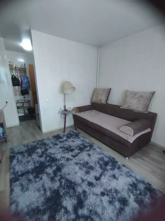 Студия Алтайский край, Барнаул ул. Малахова, 65 (19.0 м) - Фото 2