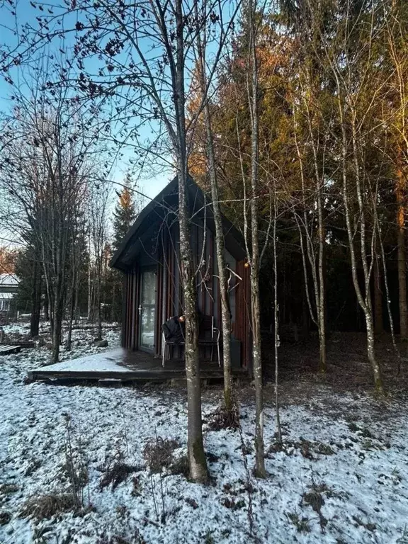 Участок в Ленинградская область, Выборгский район, Первомайское с/пос ... - Фото 2