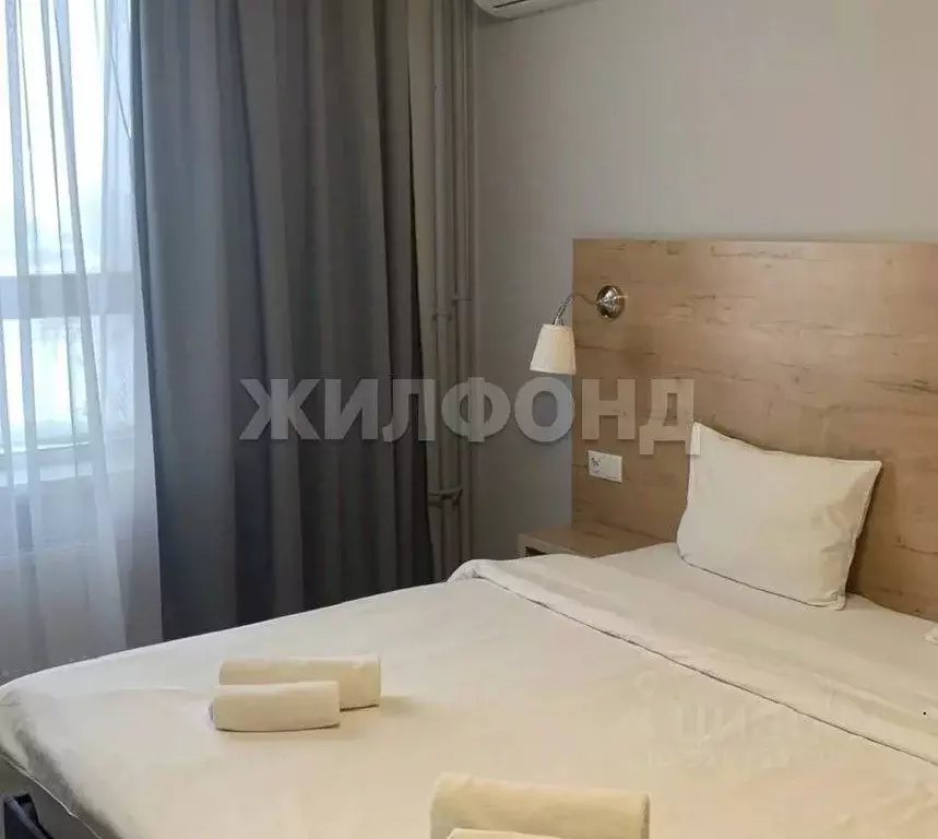 1-к кв. Новосибирская область, Новосибирск Железнодорожная ул., 15/1 ... - Фото 1