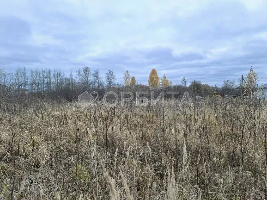 Участок в Тюменская область, Тюмень Царево садовое товарищество, ул. ... - Фото 1