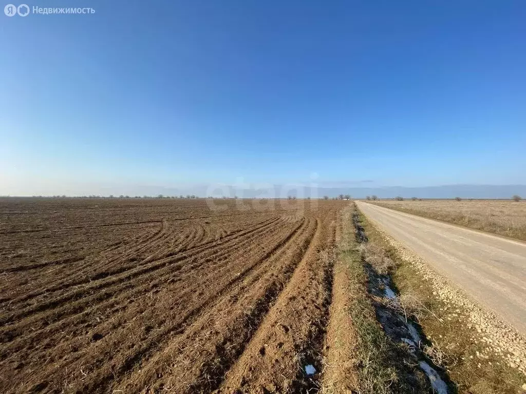 Участок в Сакский район, село Суворовское (1057.25 м) - Фото 1