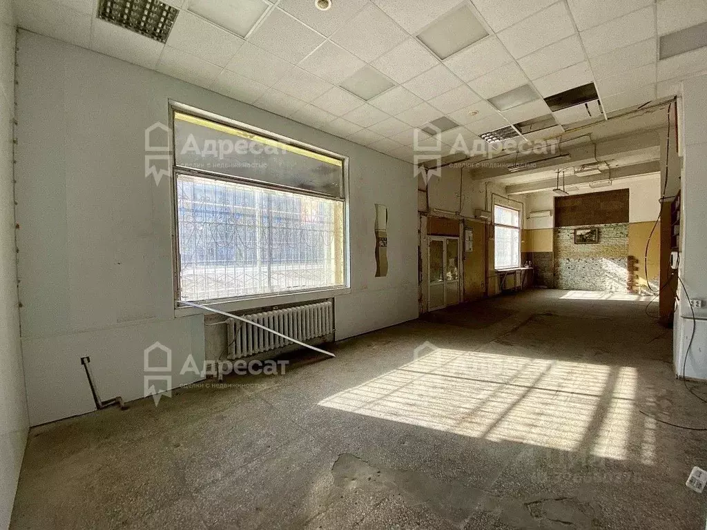 Офис в Волгоградская область, Волгоград ул. Дзержинского, 14 (140 м) - Фото 1