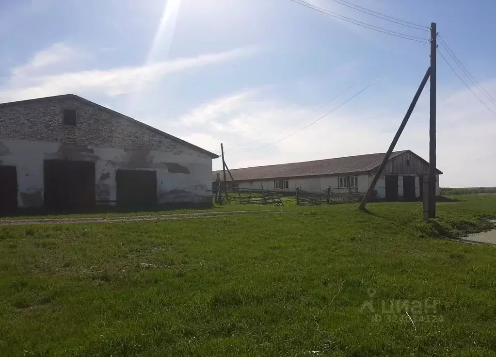 Производственное помещение в Алтайский край, Краснощековский район, ... - Фото 2