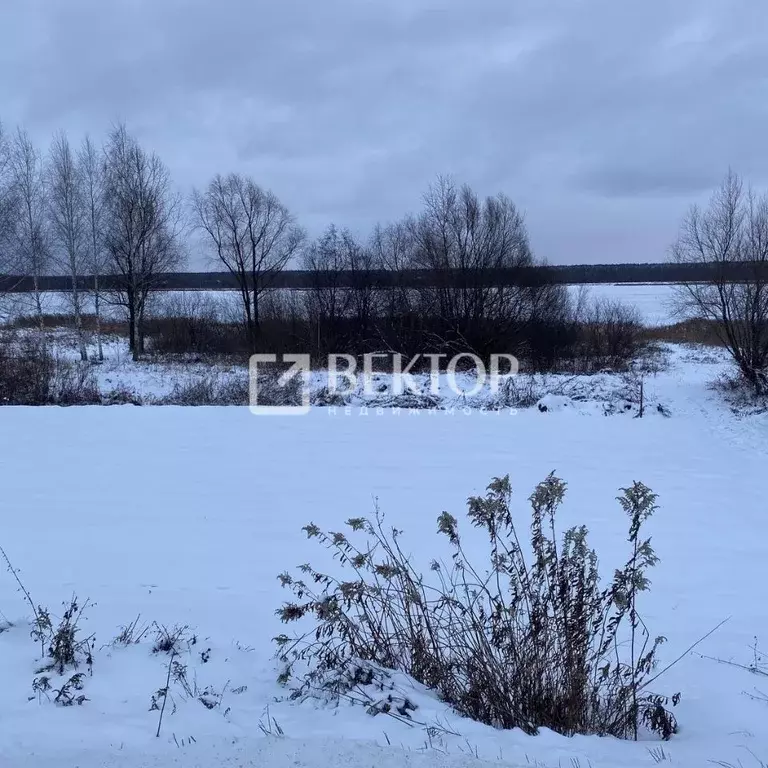 Участок в Ярославская область, Некрасовский муниципальный округ, д. ... - Фото 2