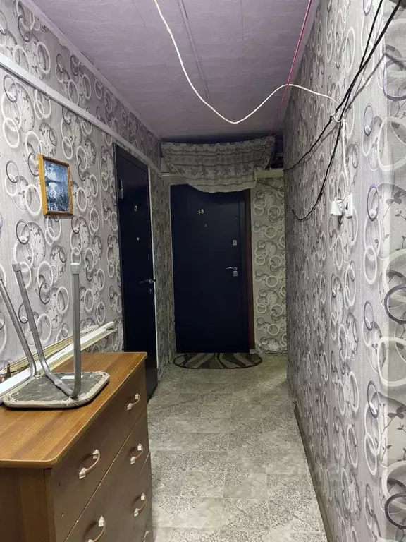 Комната Новосибирская область, Новосибирск ул. Энгельса, 14 (13.0 м) - Фото 2