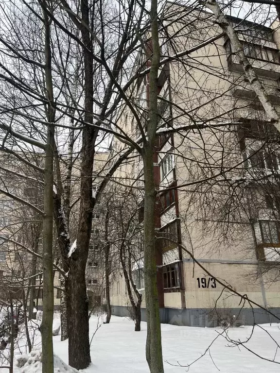 3-к кв. Санкт-Петербург ул. Олеко Дундича, 19К3 (65.5 м) - Фото 2