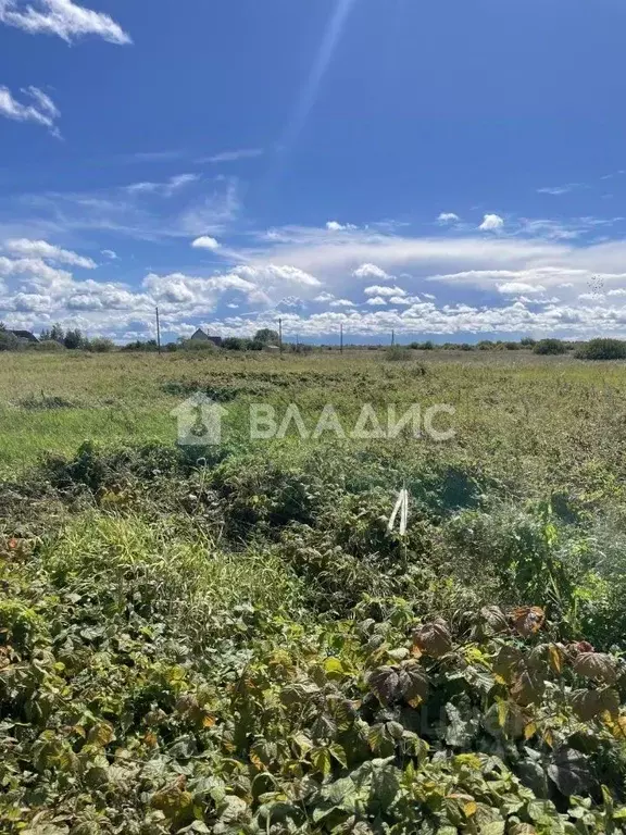 Участок в Новгородская область, Старорусский район, Наговское с/пос, ... - Фото 1