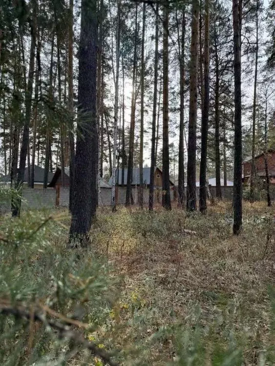 Участок в Иркутская область, Иркутский муниципальный округ, д. ... - Фото 2