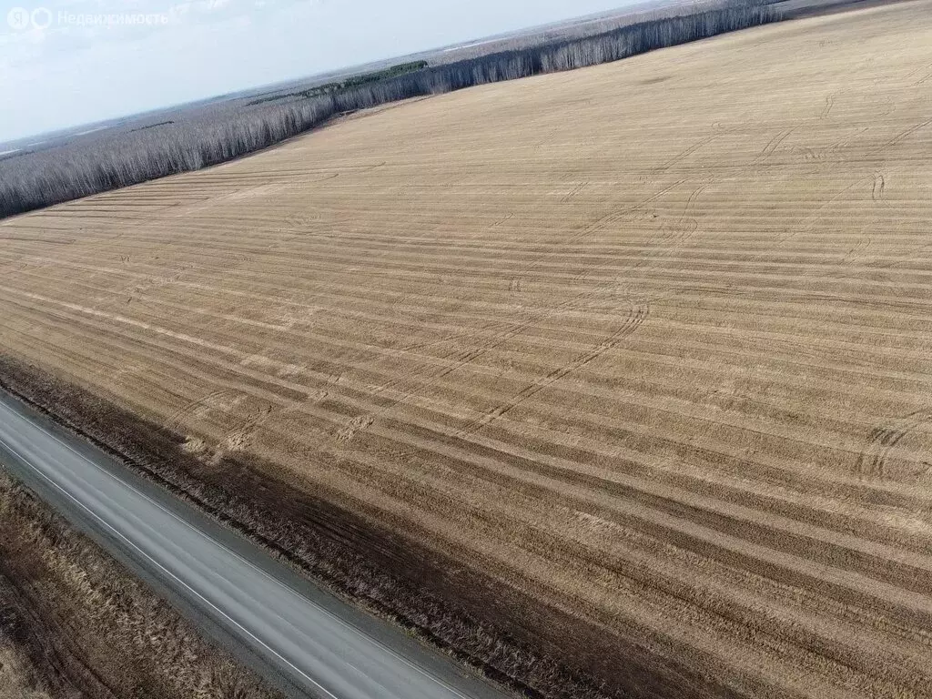 Участок в Челябинская область, Аргаяшский муниципальный округ, ... - Фото 1