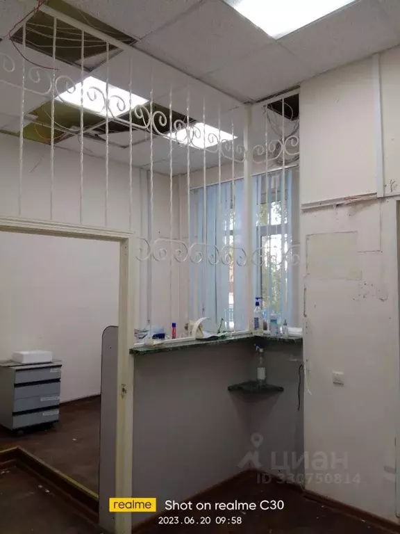 Помещение свободного назначения в Курганская область, Щучанский ... - Фото 1