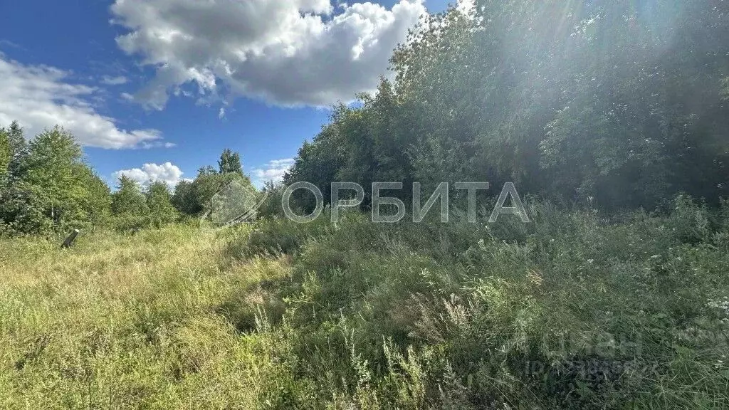 Участок в Тюменская область, Тюмень пос. Букино, ул. Сосновая (9.4 ... - Фото 1